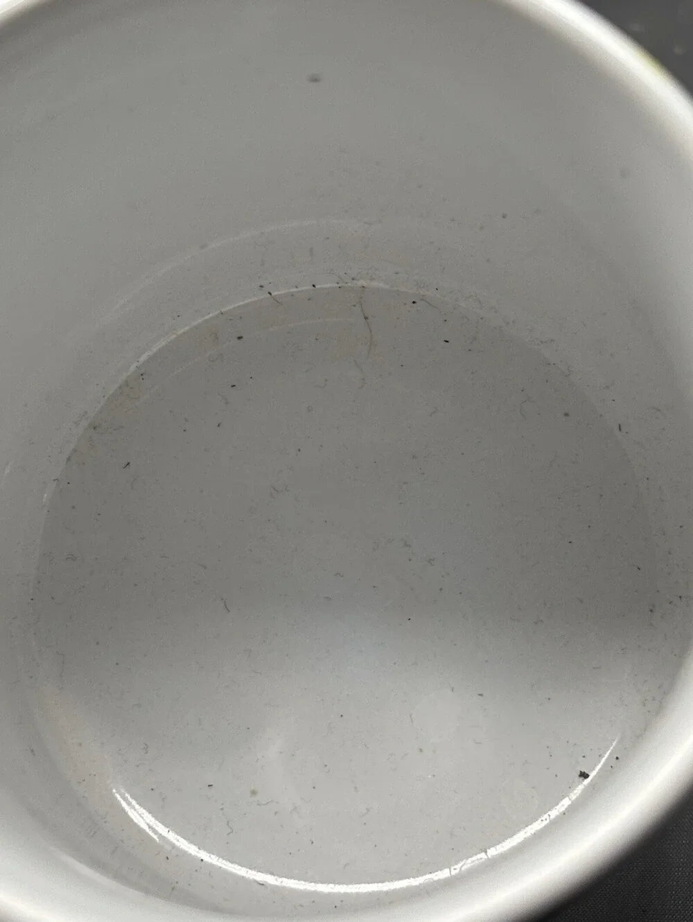 Super Mario Cast Nintendo Mug Luigi Peach Yoshi Bowser Daisy Toad Wario Donkey